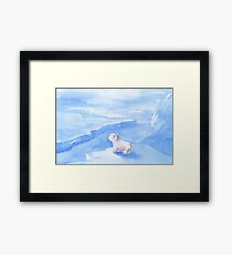 Baby Polar Bear Framed Print