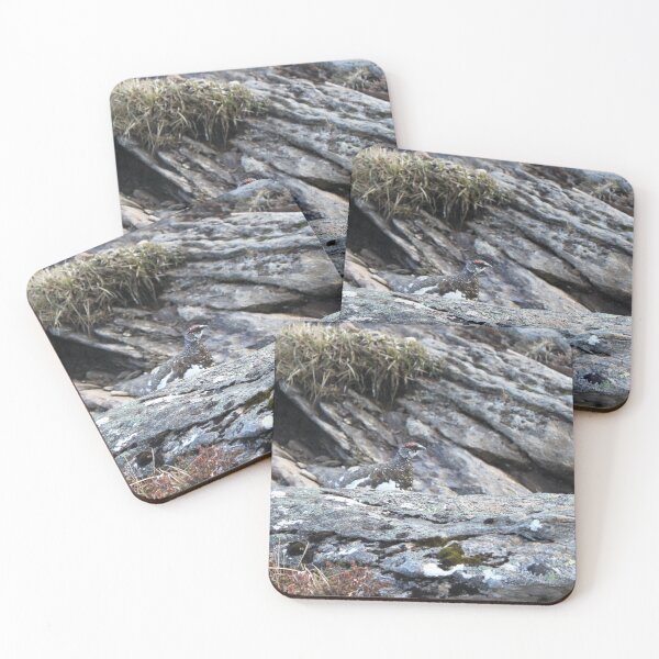 Item preview,  Ptarmigan designed and sold by beavo.