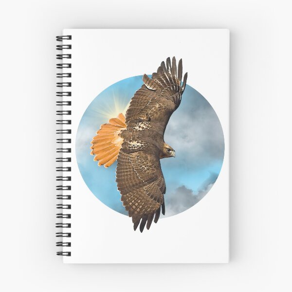 Item preview, Red Tail Hawk Flying | Sky Falcon | Falconry | Native American Inspired | Wildlife | Animals designed and sold by BlueNoseTrading.