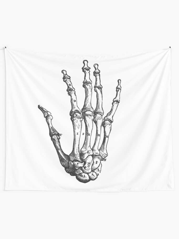 Skeleton Hand Anatomical Drawing Illustration Tapestry By Boldduck Redbubble