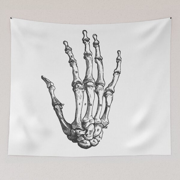 Item preview, Skeleton Hand anatomical drawing illustration designed and sold by BoldDuck.