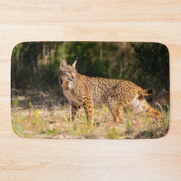 Item preview, Iberian Lynx, La Rocina, Parque Nacional de Doñana, Spain designed and sold by AndrewJonesFoto.