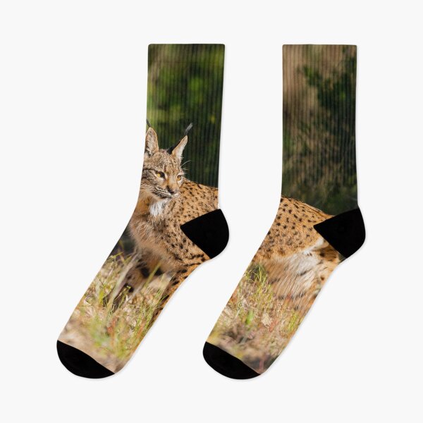 Item preview, Iberian Lynx, La Rocina, Parque Nacional de Doñana, Spain designed and sold by AndrewJonesFoto.