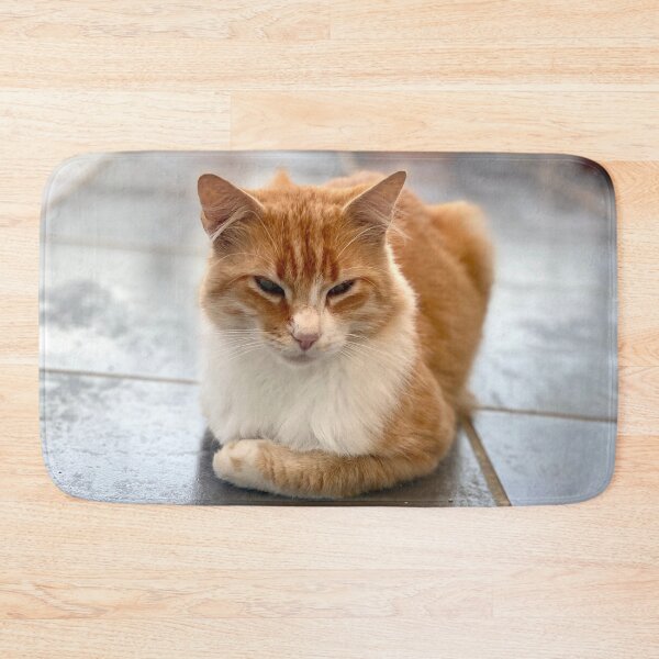 Item preview, Young reverent red-haired cat designed and sold by AHELENE.
