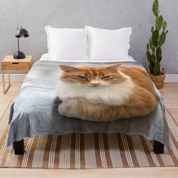 Item preview, Young reverent red-haired cat designed and sold by AHELENE.