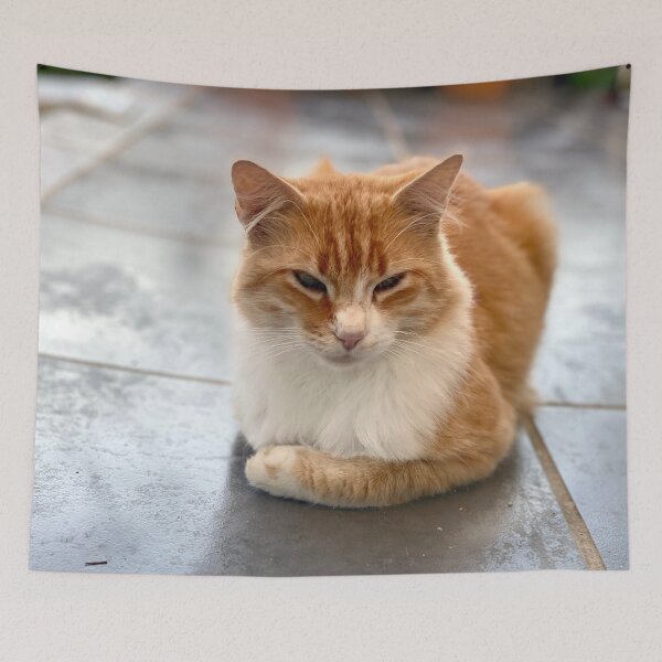 Item preview, Young reverent red-haired cat designed and sold by AHELENE.