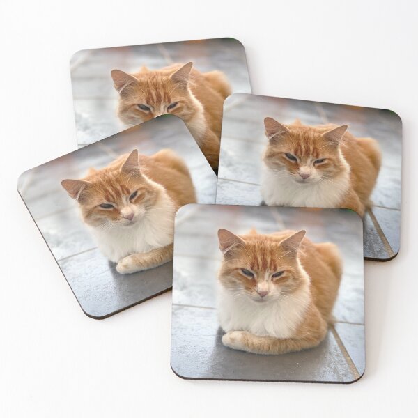 Item preview, Young reverent red-haired cat designed and sold by AHELENE.