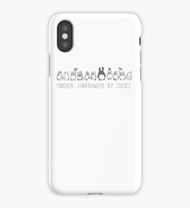 Totoro surrounded by idiots iPhone Case/Skin