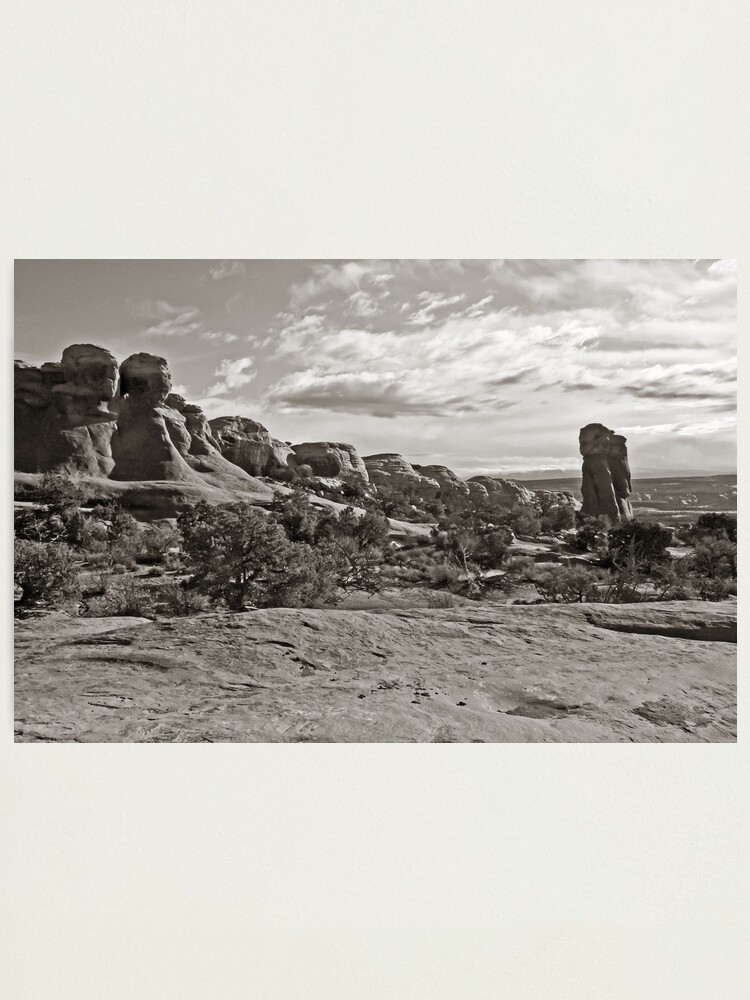 Alternate view of Reveille Photographic Print