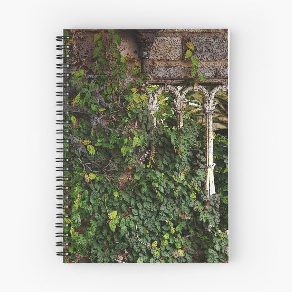 Item preview, Window in the wall. designed and sold by George Petrovsky.