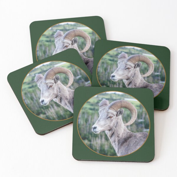 Item preview, Rocky Mountain BIg Horned Sheep, Glacier National Park designed and sold by AvocaSpring.