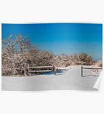 Winter scene Poster