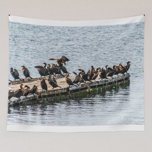 Item preview, A Gulp of Cormorants designed and sold by Bryan Spellman.