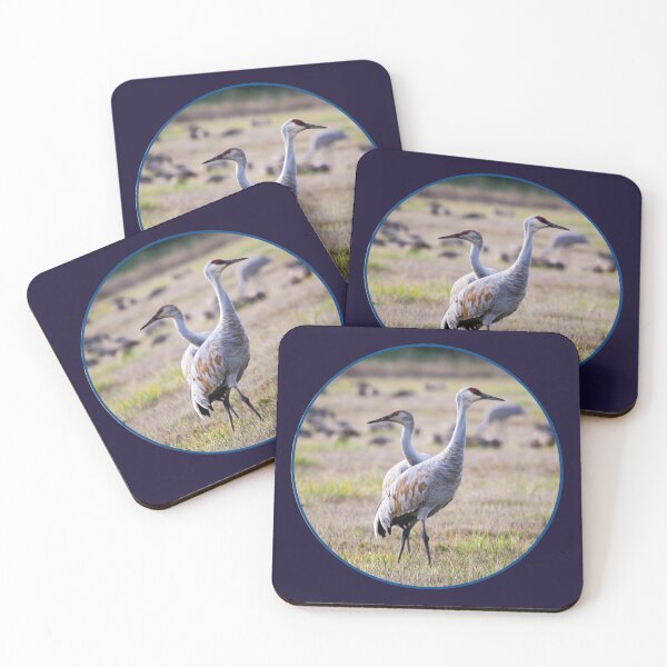 Item preview, Sandhill Cranes at Ridgefield National Wildlife Refuge, Washington designed and sold by AvocaSpring.