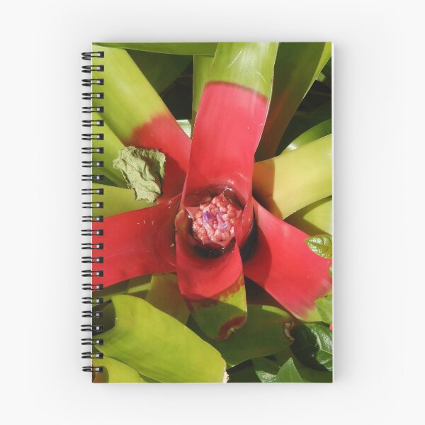 Item preview, Bromeliad designed and sold by danaart.