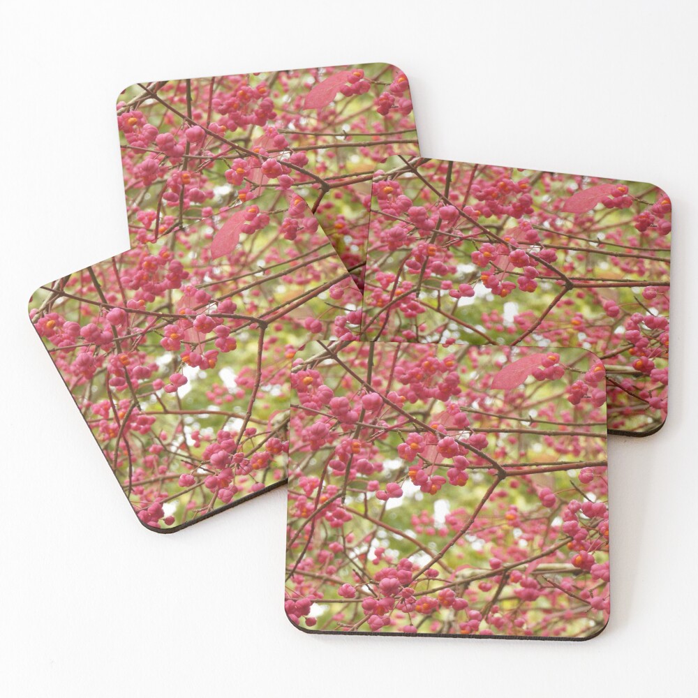 Item preview, Coasters (Set of 4) designed and sold by bexceli.