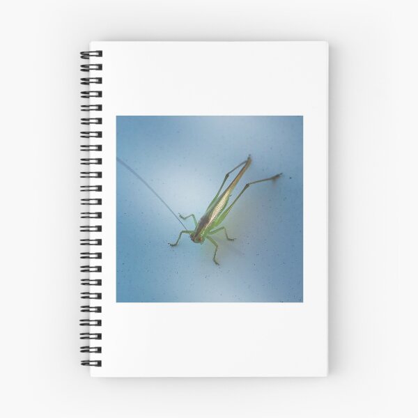 Item preview, GrassHopper designed and sold by neldamays.