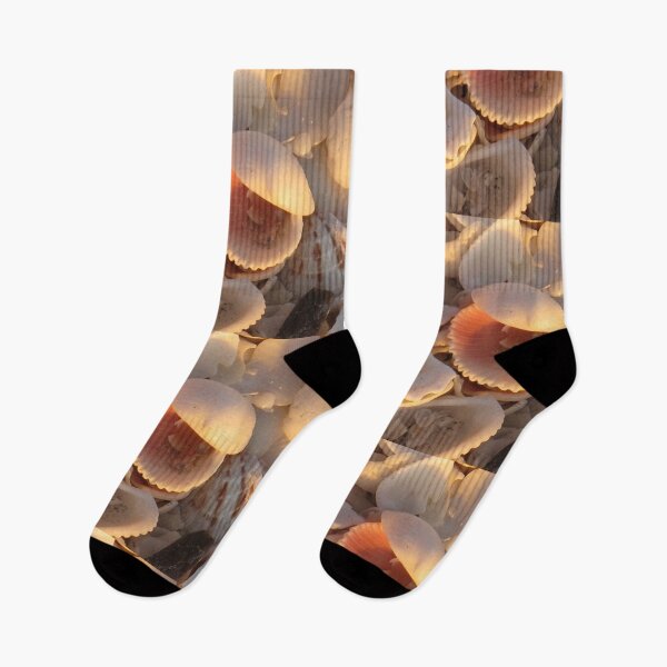 Item preview, Shells at Sunset designed and sold by neldamays.