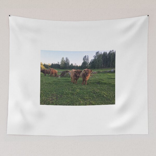 Item preview, Scottish Highland Cattle Calves 1825 designed and sold by SaarelaHighland.