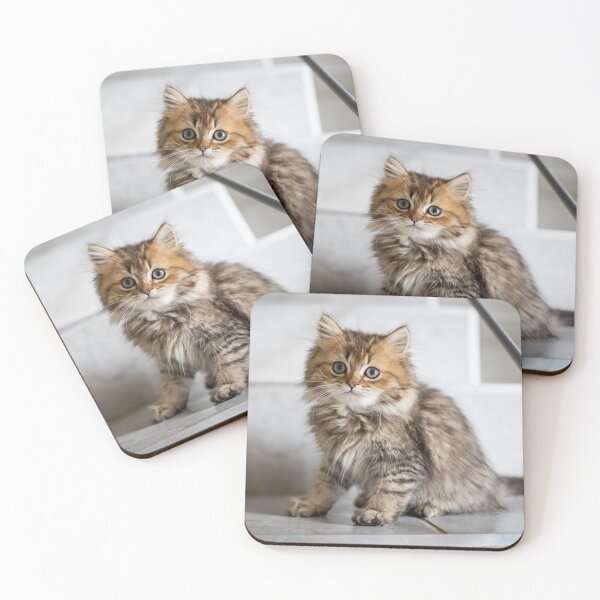 Item preview, Cute Kitty Wants Some Love! designed and sold by Tim Thompson.