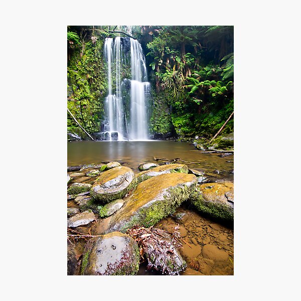 Beauchamp Falls, Otway N.P Photographic Print