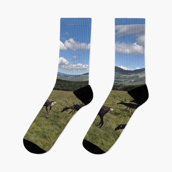 Item preview, Reindeer on the Cairngorm Mountains - NW-021 designed and sold by roryridleyduff.