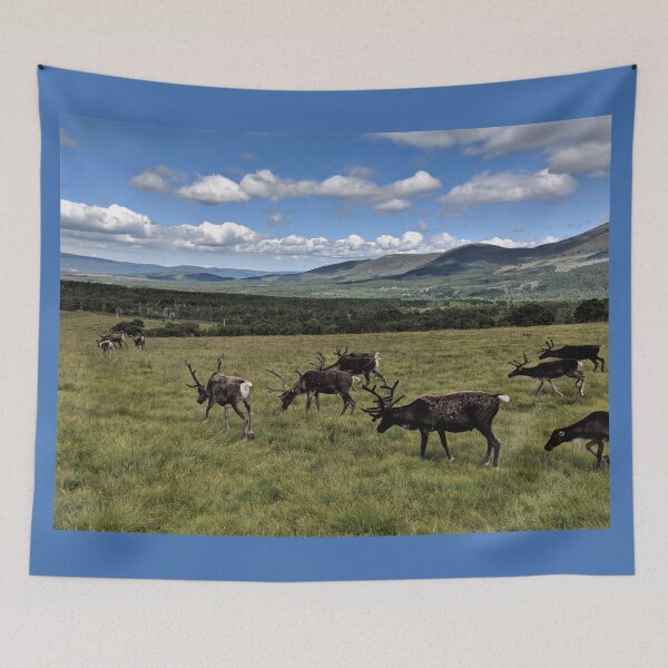 Item preview, Reindeer on the Cairngorm Mountains - NW-021 designed and sold by roryridleyduff.