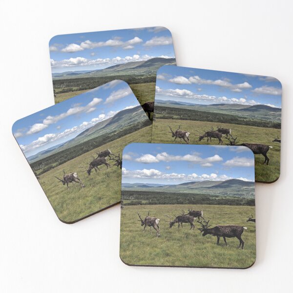 Item preview, Reindeer on the Cairngorm Mountains - NW-021 designed and sold by roryridleyduff.