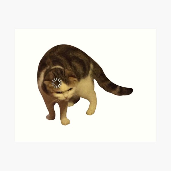 Thumbs Up Sad Cat Meme OK Cat 3 Sticker | Meme Lolcat