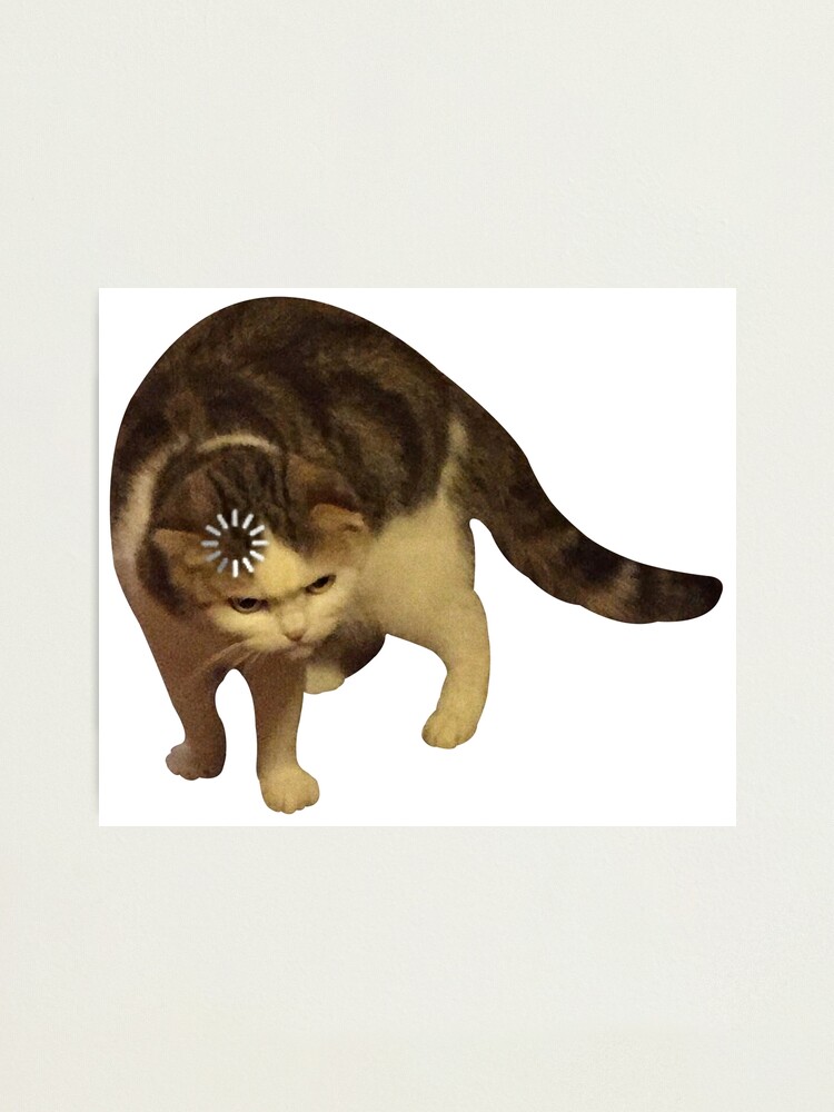 Cat loading icon meme | Photographic Print