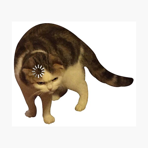 Cat loading icon meme | Photographic Print