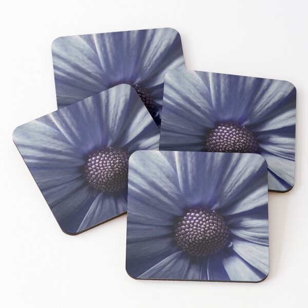 Item preview, Osteospermum Portrait designed and sold by SexyEyes69.