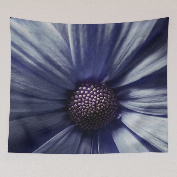 Item preview, Osteospermum Portrait designed and sold by SexyEyes69.