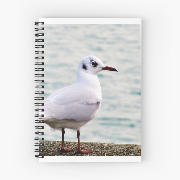 Item preview, Red beak ... designed and sold by ART22.