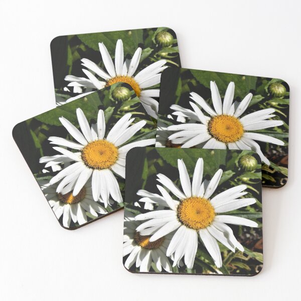 Item preview, Daisy turns her face to the sun designed and sold by danaart.