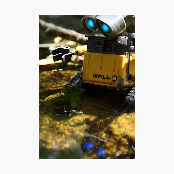 Down to Earth Photographic Print