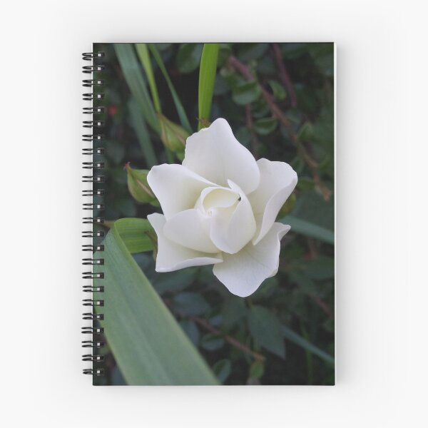 Item preview, White Rose designed and sold by HeatherCatz.