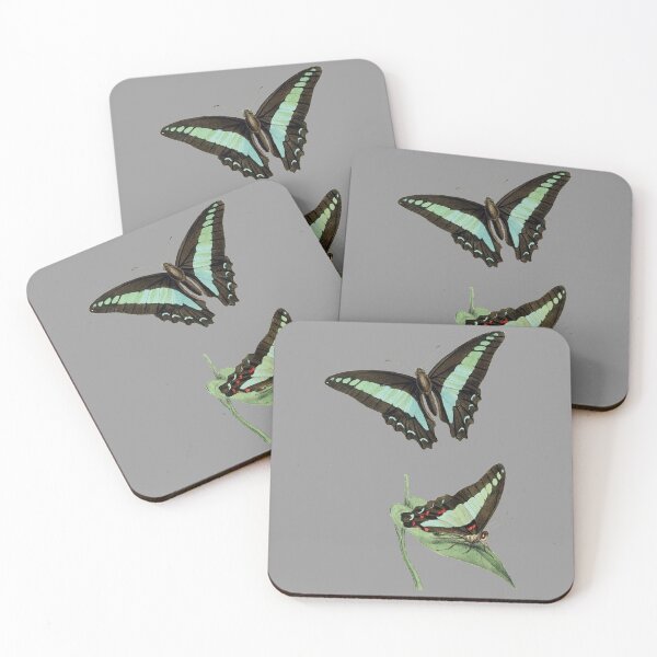 Item preview, Butterfly scientific painting designed and sold by Flamin' Galah.