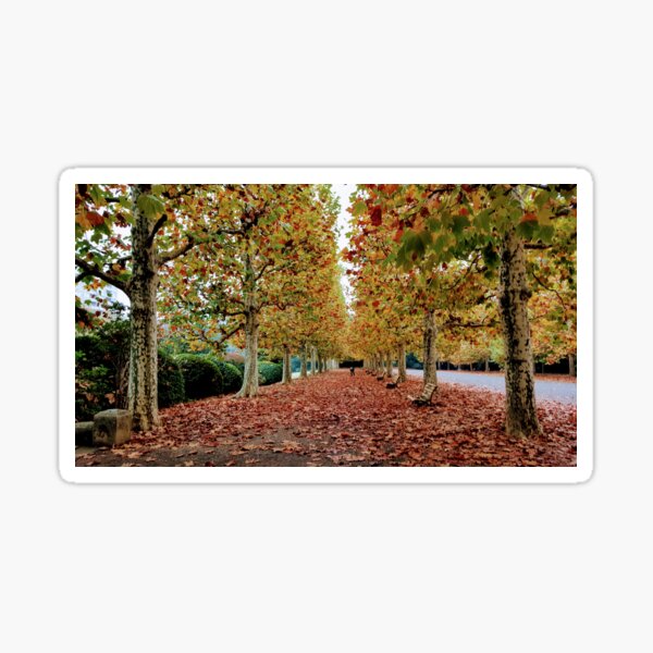 Japanese forest Sticker