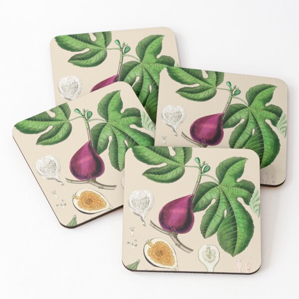 Item preview, Fig - Ficus carica designed and sold by Flamin' Galah.