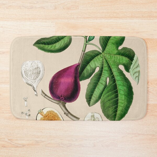 Item preview, Fig - Ficus carica designed and sold by Flamin' Galah.