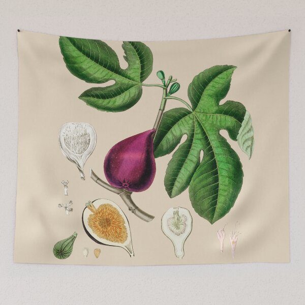 Item preview, Fig - Ficus carica designed and sold by Flamin' Galah.