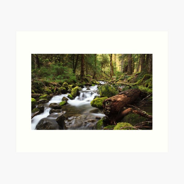 Paradise Falls, Skamania County, Washington - Northwest Waterfall Survey