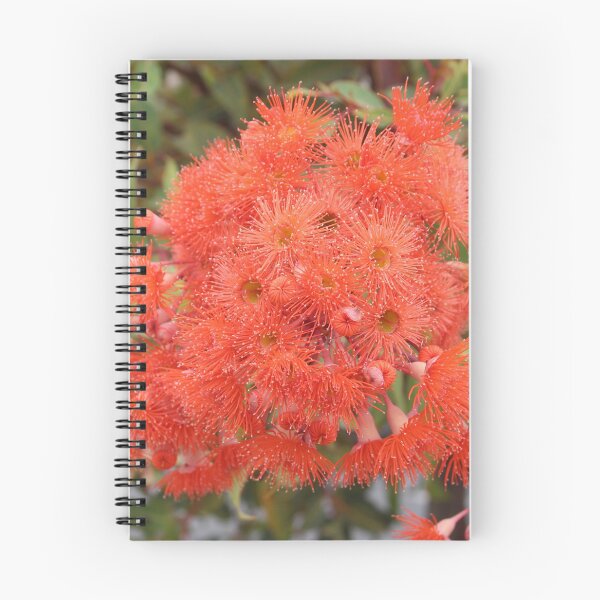 Item preview, Gums burst into flower designed and sold by Andykinoz.