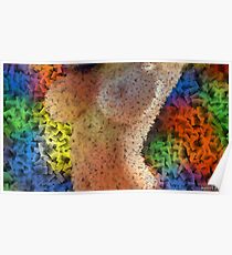 Beautiful Woman From Exploding Colors Poster