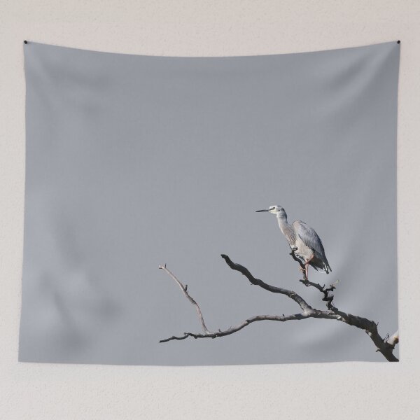 Item preview, White Faced Heron Cutout designed and sold by Jason Gilbert.