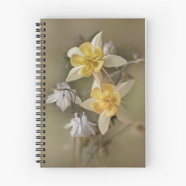 Item preview, White and yellow columbines designed and sold by JBlaminsky.