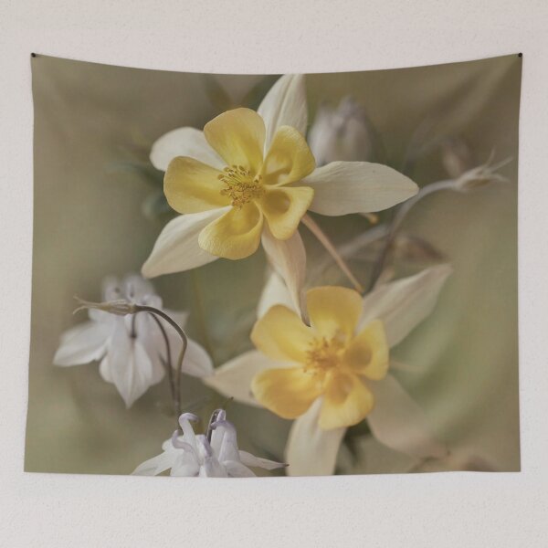 Item preview, White and yellow columbines designed and sold by JBlaminsky.