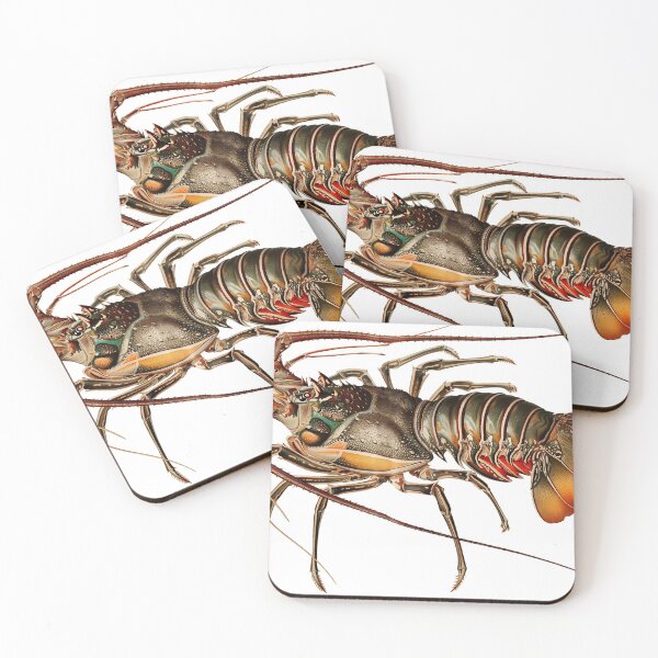 Item preview, Vintage crayfish illustration - Panulirus regius designed and sold by Flamin' Galah.