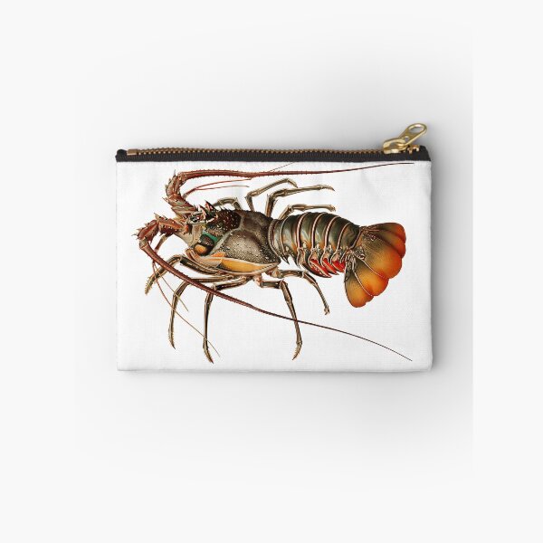 Item preview, Vintage crayfish illustration - Panulirus regius designed and sold by Flamin' Galah.